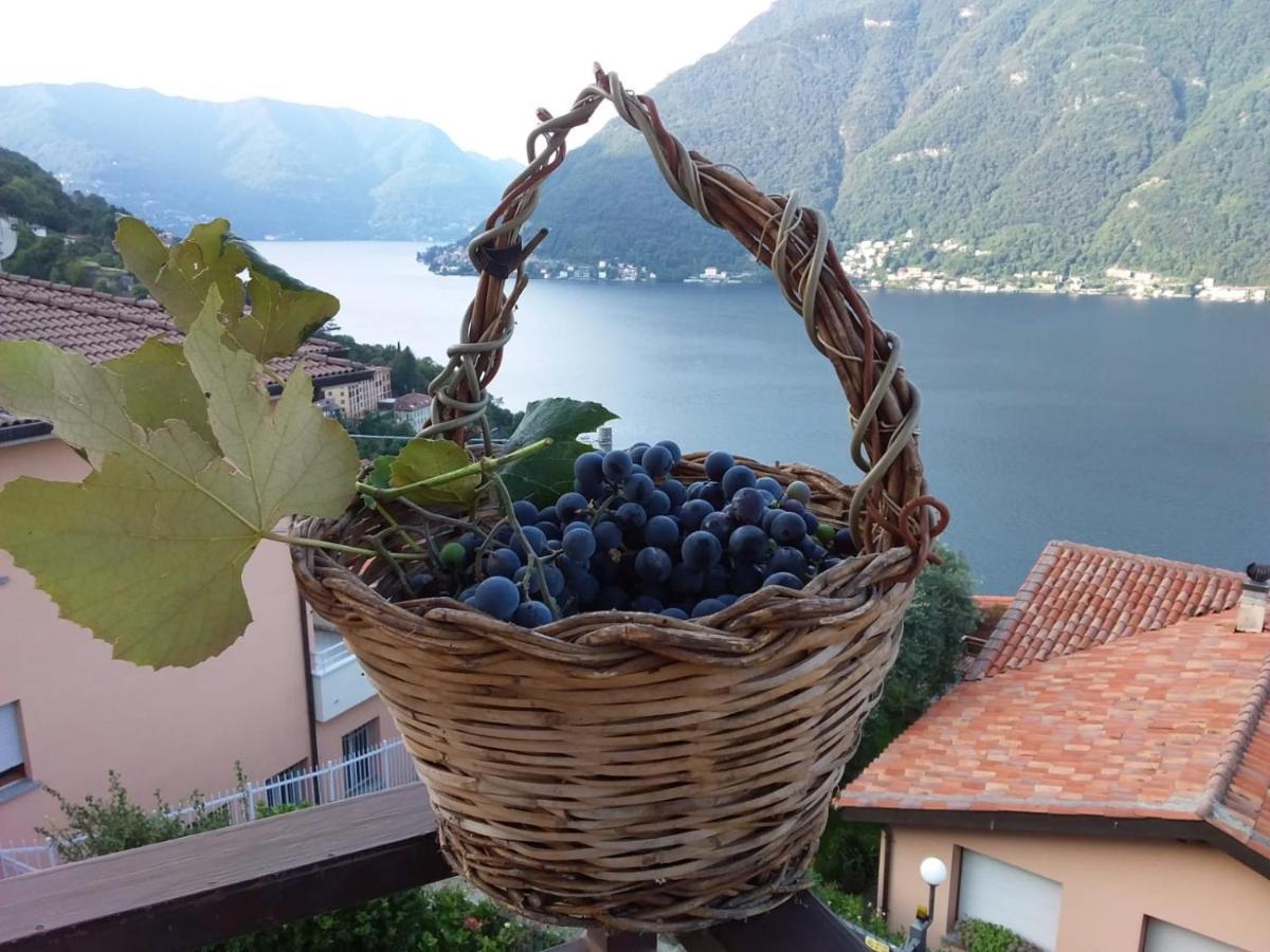 Romantic Home - Lake Como Nesso Exteriör bild
